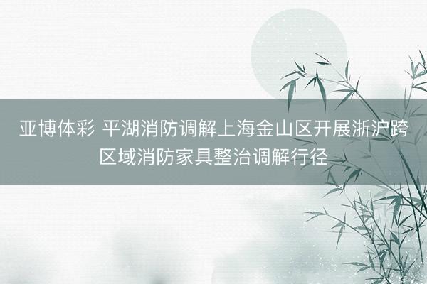 亚博体彩 平湖消防调解上海金山区开展浙沪跨区域消防家具整治调解行径