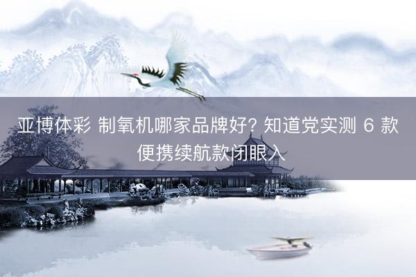 亚博体彩 制氧机哪家品牌好? 知道党实测 6 款 便携续航款闭眼入
