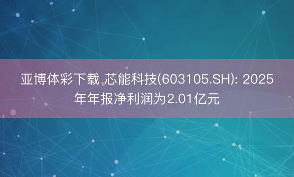 亚博体彩下载 芯能科技(603105.SH): 2025年年报净利润为2.01亿元