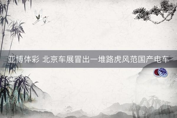 亚博体彩 北京车展冒出一堆路虎风范国产电车