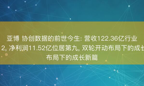 亚博 协创数据的前世今生: 营收122.36亿行业排行12, 净利润11.52亿位居第九, 双轮开动布局下的成长新篇