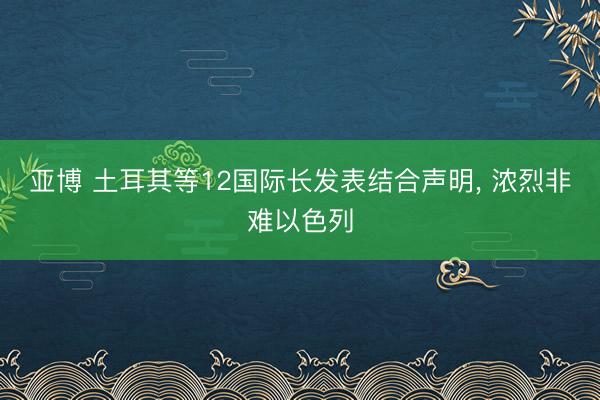 亚博 土耳其等12国际长发表结合声明, 浓烈非难以色列